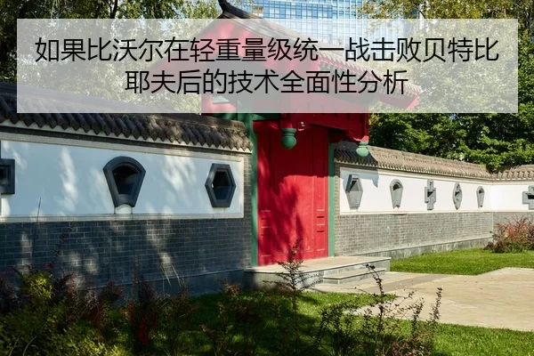 ru-guo-bi-wo-er-zai-qing-zhong-liang-ji-tong-yi-zhan-ji-bai-bei-te-bi-ye-fu-hou-de-ji-shu-quan-mian-xing-fen-xi-1-330.jpg